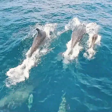 Apartamento Salgados By Algarve Vacation *