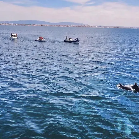 Salgados By Algarve Vacation Albufeira